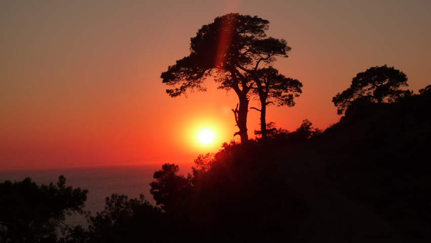 Kabak (82)
